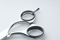 JAGUAR 71060 Xena 6,0